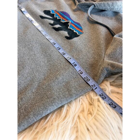 Patagonia Mens Fitz Roy Bear Midweight Uprisal Hoodie Premium Fly Gray SZ Medium - Picture 12 of 13